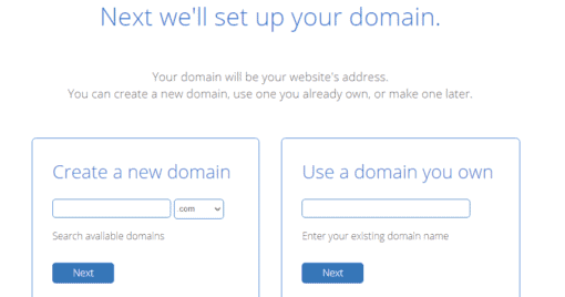 Choose a domain name