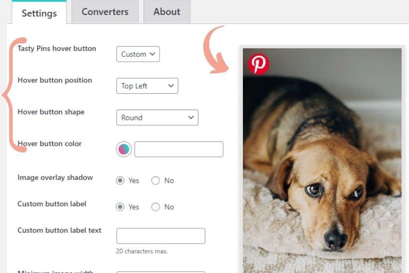 Tasty Pins Hover button customization