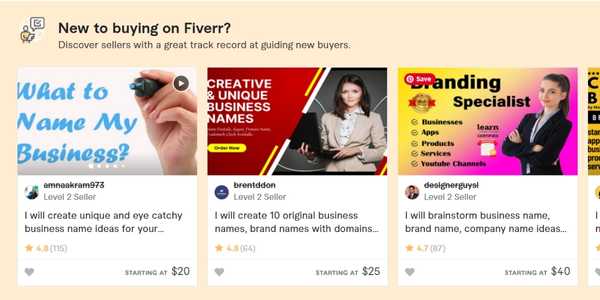 business name gigs on fiverr
